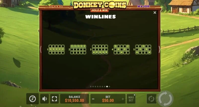 Donkey Coins Hold & Win - velika zmaga v posebnem načinu